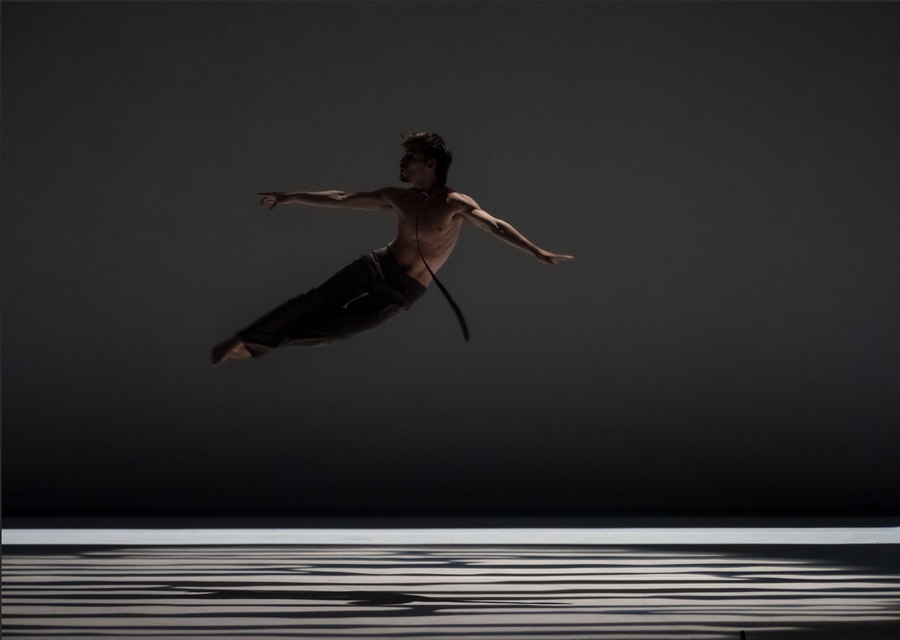 Cía. Miguel Jiménez