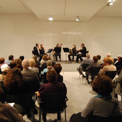 Es Baluard Museu (auditori)